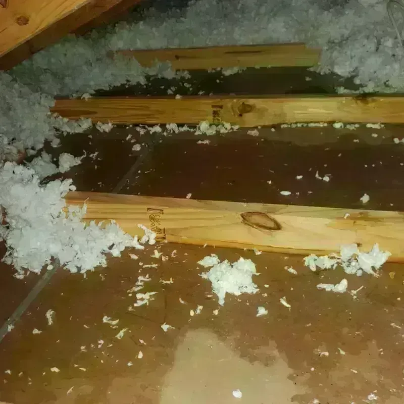 Attic Water Damage in Salton City, CA