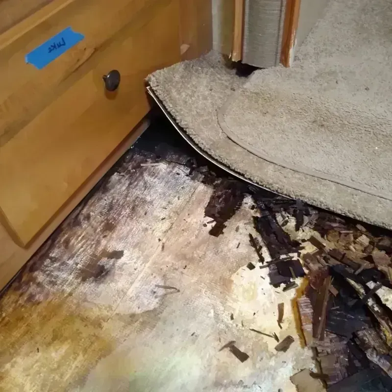 Wood Floor Water Damage in Salton City, CA